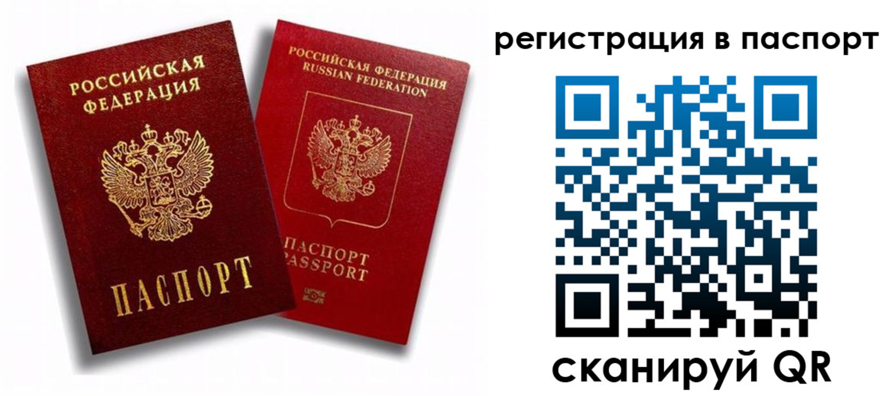 прописка 2025 в Старом Осколе